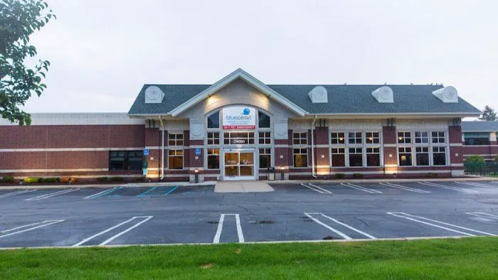 BluePearl Pet Hospital Southfield 12