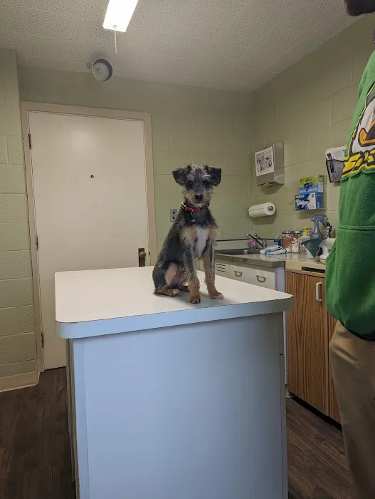 Hilldale Veterinary Hospital 12