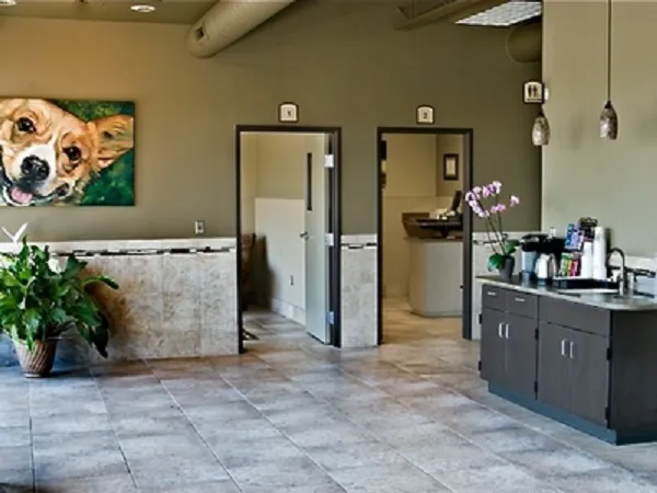 DePorre Veterinary Hospital 7