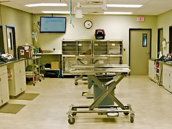 DePorre Veterinary Hospital 2