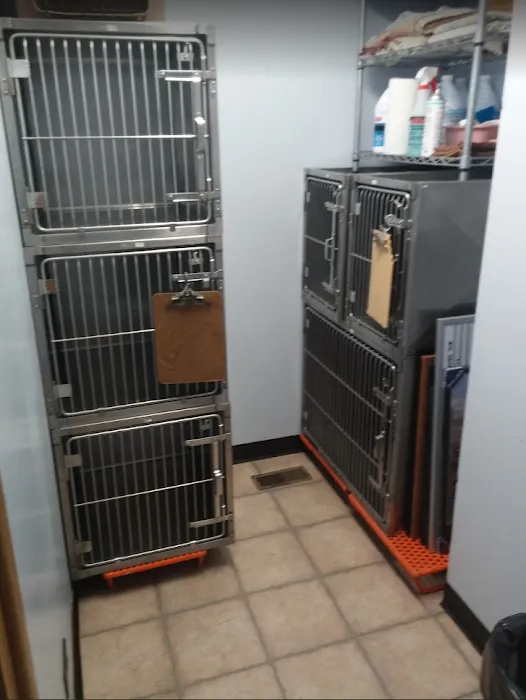 Jeffrey Animal Hospital 6