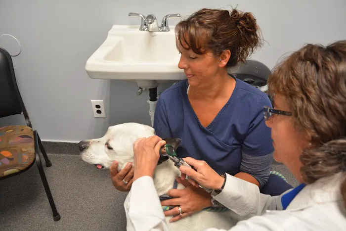 Jeffrey Animal Hospital 1
