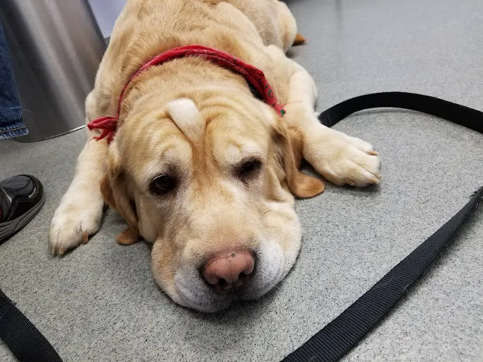 Jeffrey Animal Hospital 3
