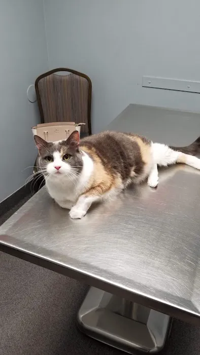 Jeffrey Animal Hospital 2