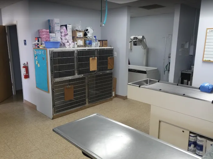 Jeffrey Animal Hospital 9
