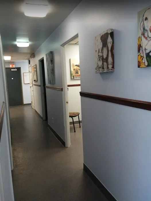 Jeffrey Animal Hospital 10