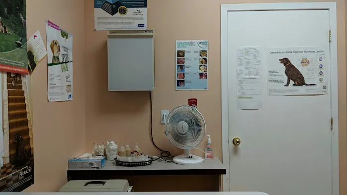 AlfaVet Animal Hospital 6