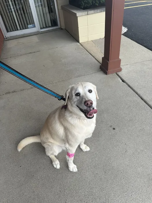 Plaza Veterinary Hospital 5