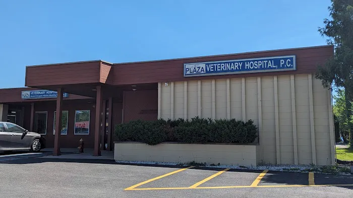 Plaza Veterinary Hospital 2