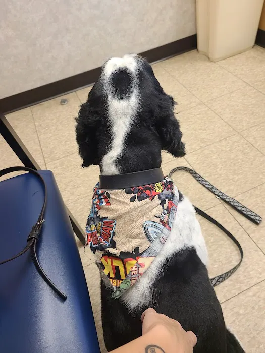 Plaza Veterinary Hospital: Adams Tracy L DVM 3