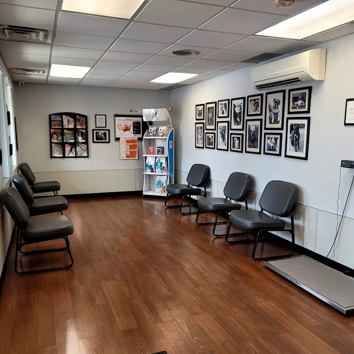 Plaza Veterinary Hospital: Adams Tracy L DVM 1