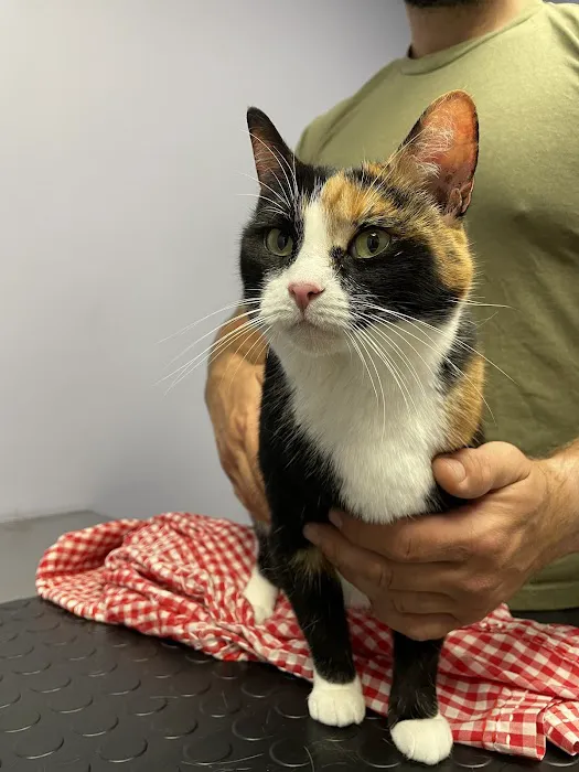 Sheehy Animal Hospital 9