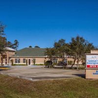 Animal Specialty & Emergency Hospital ico