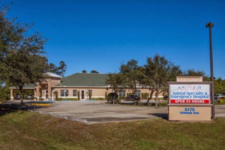 Animal Specialty & Emergency Hospital