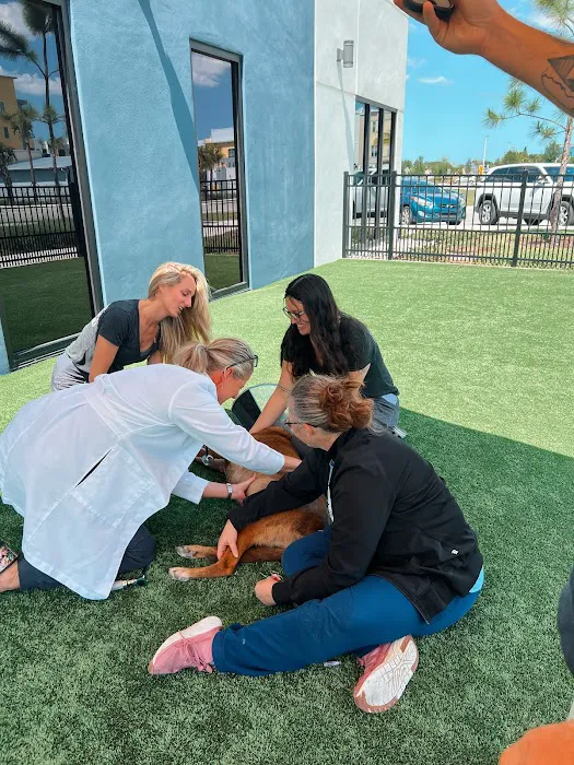 Kehoe Animal Clinic 12
