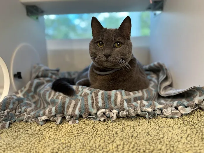 Viera East Veterinary Center 12