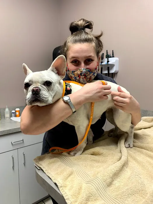Viera East Veterinary Center 12
