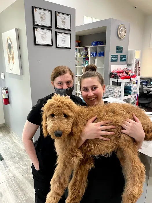 Viera East Veterinary Center 12