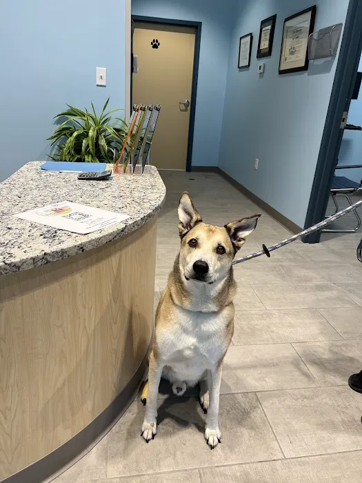 Premier Veterinary Care 12