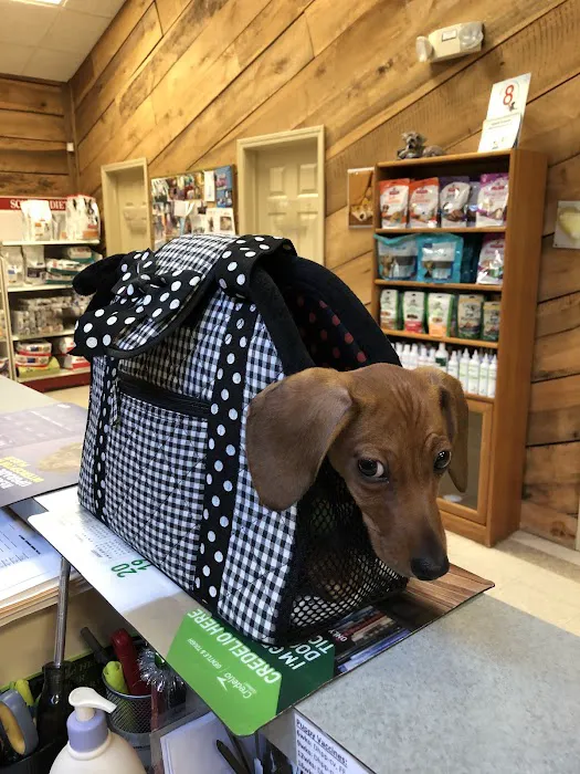All Creatures Pet Hospital 4