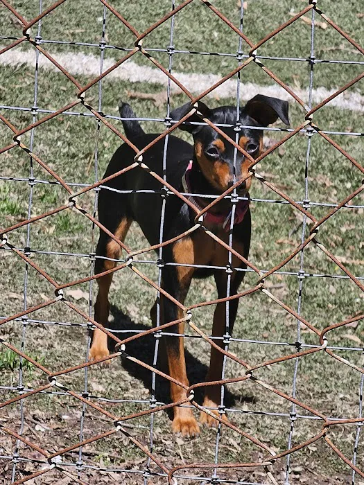 Gaston Low-Cost Spay/Neuter Clinic 4