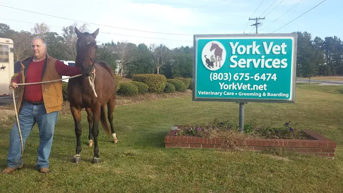 York Veterinary Services 12