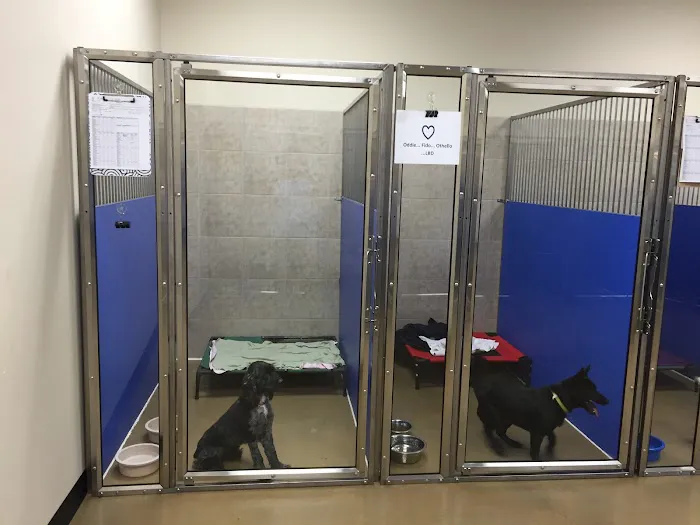 White Rose Veterinary Clinic 12