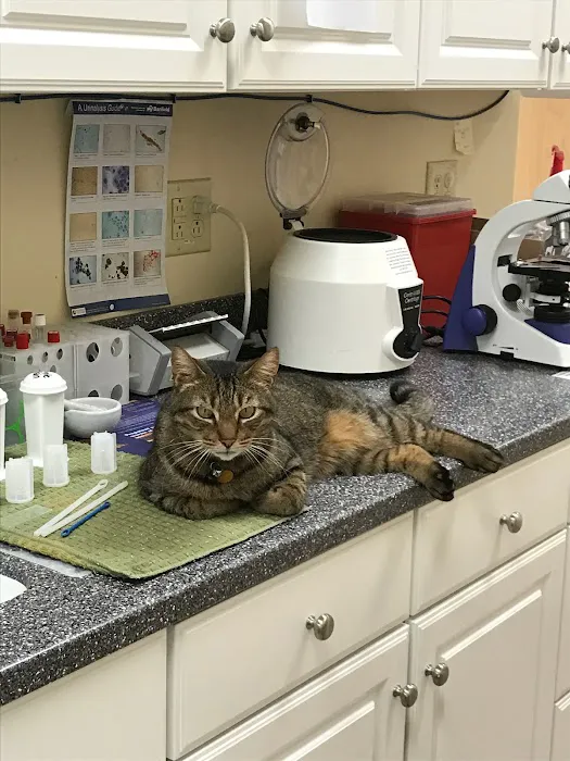 White Rose Veterinary Clinic 12