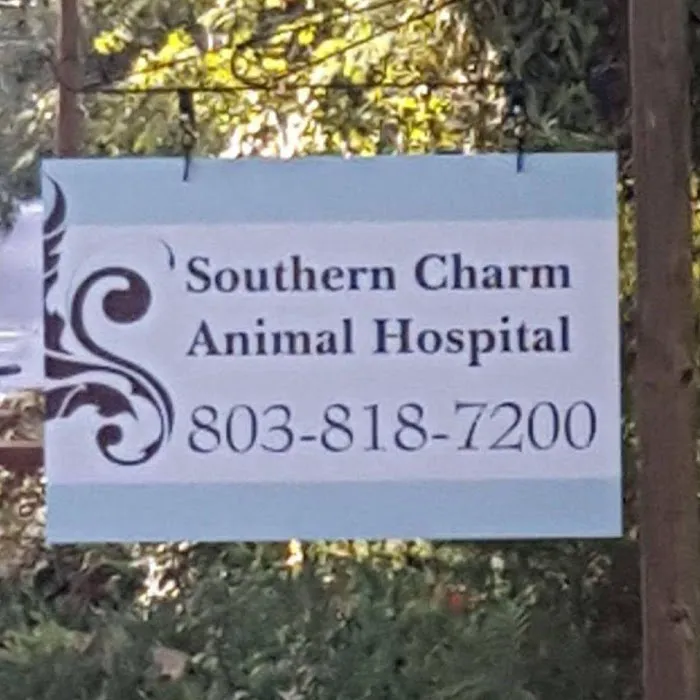 SOUTHERN CHARM ANIMAL HOSPITAL, LLC 12