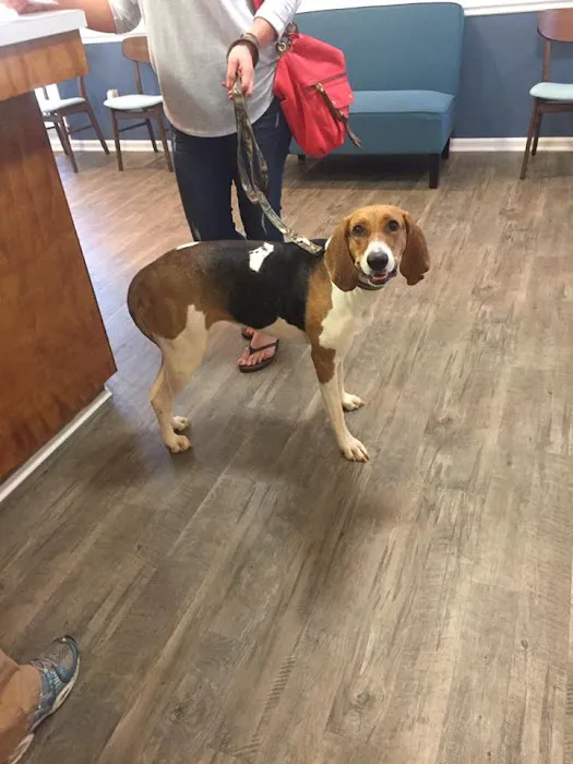 SOUTHERN CHARM ANIMAL HOSPITAL, LLC 12