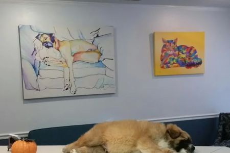 SOUTHERN CHARM ANIMAL HOSPITAL, LLC
