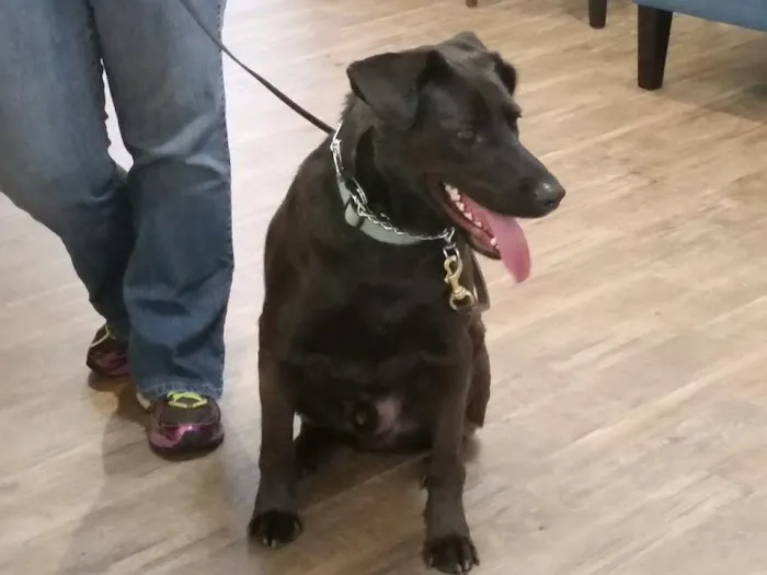 SOUTHERN CHARM ANIMAL HOSPITAL, LLC 12