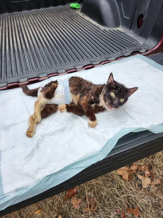Brown Creek Animal Hospital 12