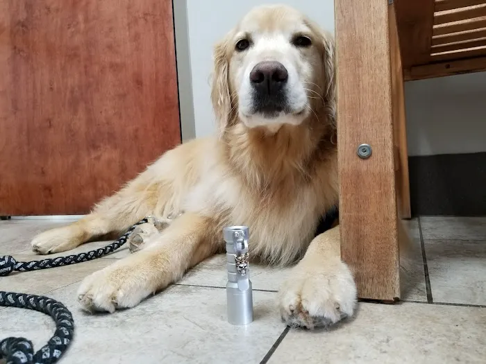 Brown Creek Animal Hospital 12
