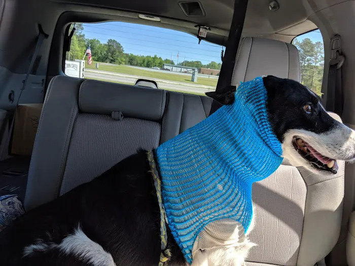 Brown Creek Animal Hospital 12