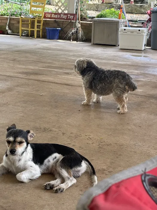 Brown Creek Animal Hospital 12