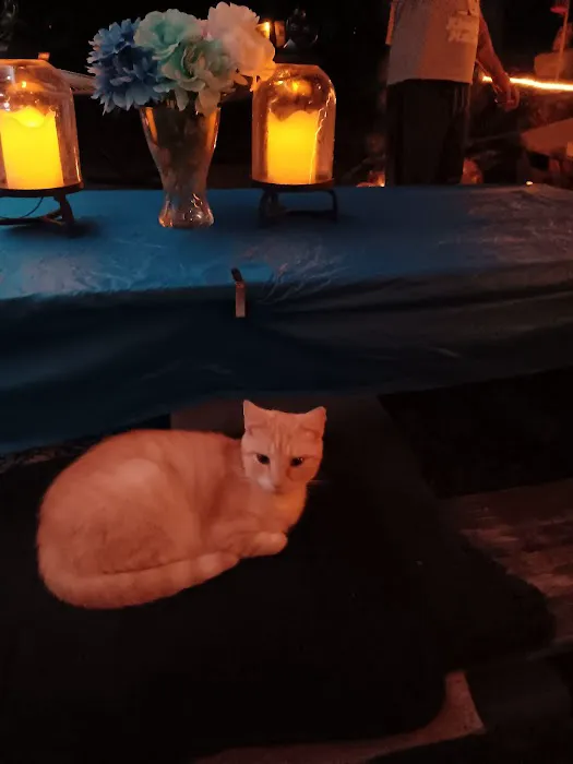 PetVet Vaccination Clinic 6