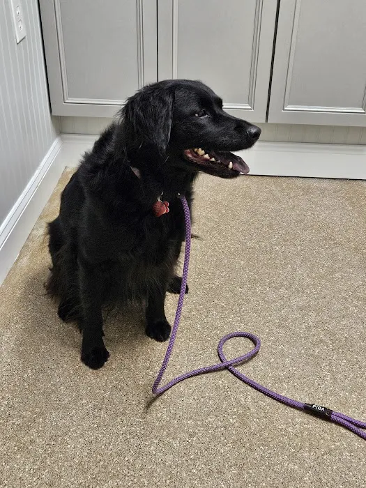 Fairview Veterinary Clinic 1