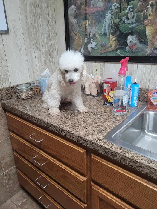 Fairview Veterinary Clinic 3