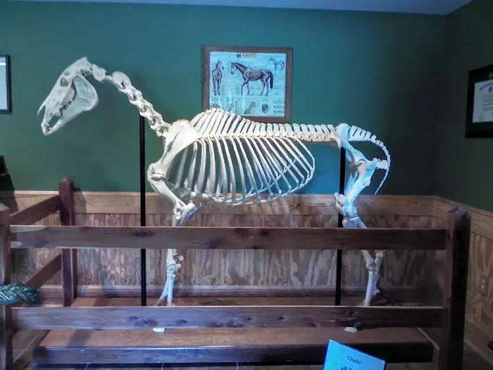 Brown Creek Equine Hospital 3