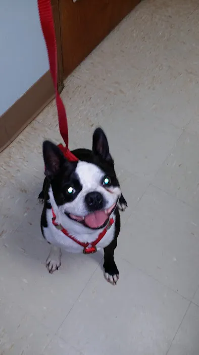 Montgomery Animal Clinic 5