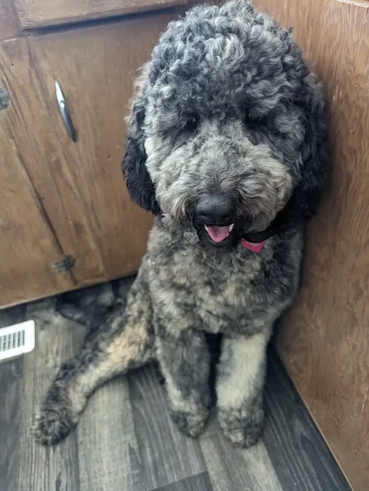 Montgomery Animal Clinic 4