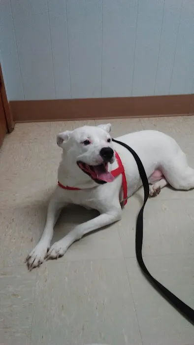 Montgomery Animal Clinic 1