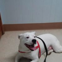 Montgomery Animal Clinic ico