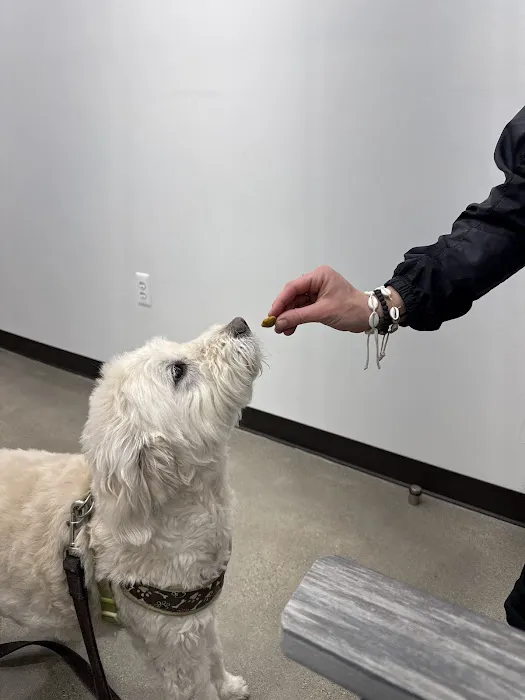 Animal Hospital Maple Orchard 5