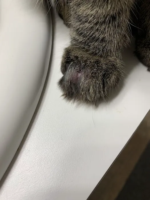 Companion Care Veterinary Hospital 2