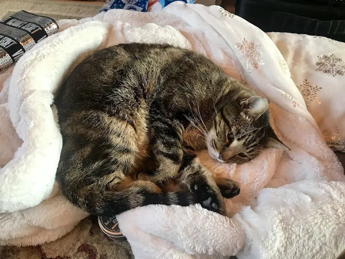 Franklin County Animal Medical Center 12