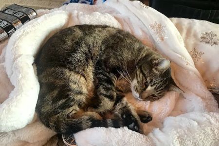 Franklin County Animal Medical Center