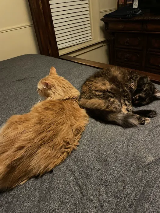 Franklin County Animal Medical Center 12