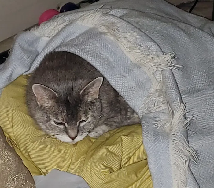 Franklin County Animal Medical Center 12
